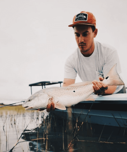 Lowcountry's Tidal Fishing In Folly Beach