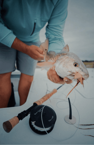 Lowcountry's Tidal Fishing In Folly Beach