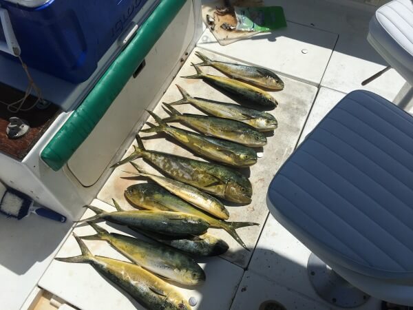 8 Hour Offshore Trip in Freeport