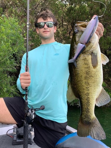 Big Swim Baits For Big A** Bass In Austin