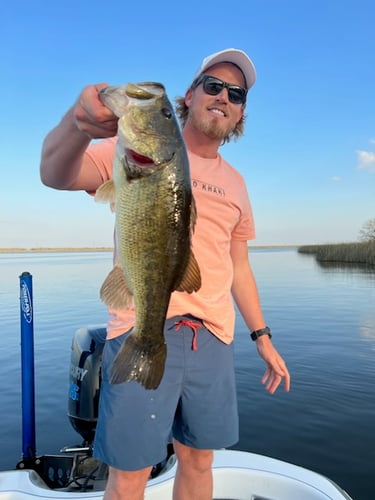 Big Swim Baits For Big A** Bass In Austin