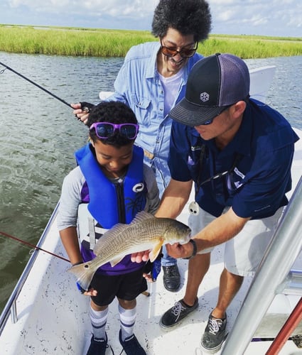 Exploring The Louisiana Marsh In New Orleans