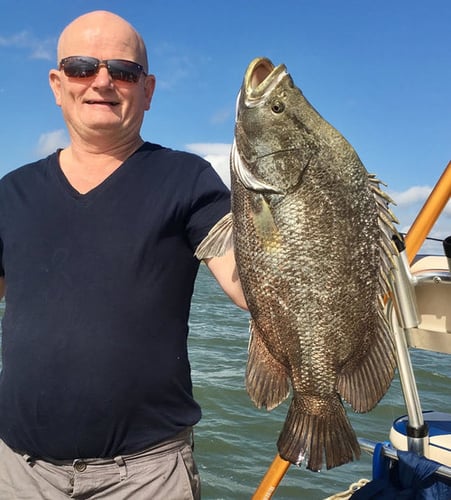 Matagorda Bay Catch And Release In Matagorda