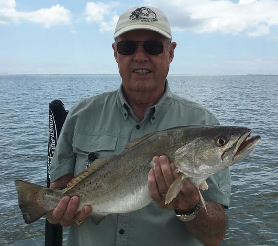 Matagorda Bay Catch And Release In Matagorda