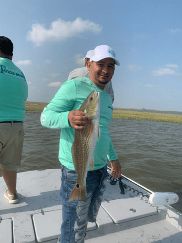 Matagorda Bay Catch And Release In Matagorda