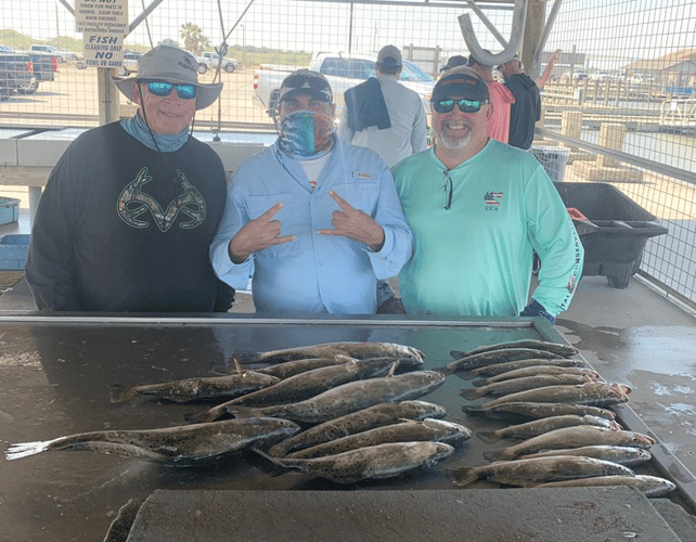 Matagorda Bay Catch And Release In Matagorda