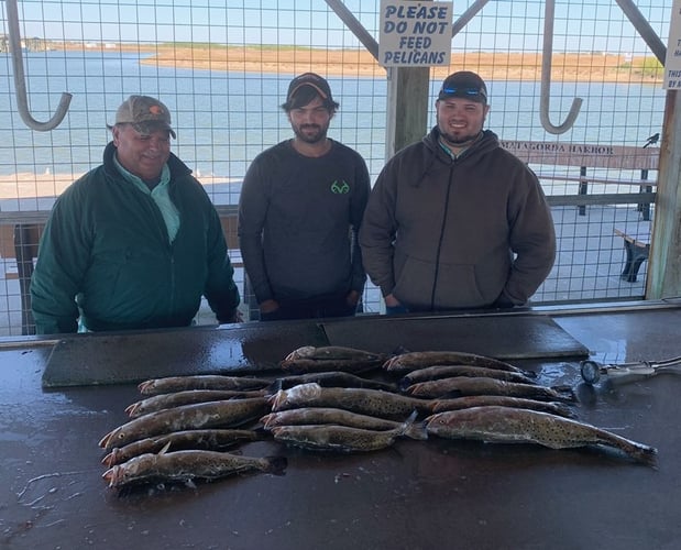 Matagorda Bay Catch And Release In Matagorda