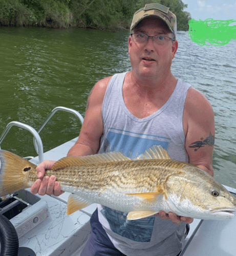 Matagorda Bay Catch And Release In Matagorda