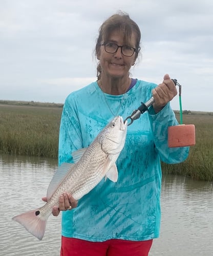 Matagorda Bay Catch And Release In Matagorda