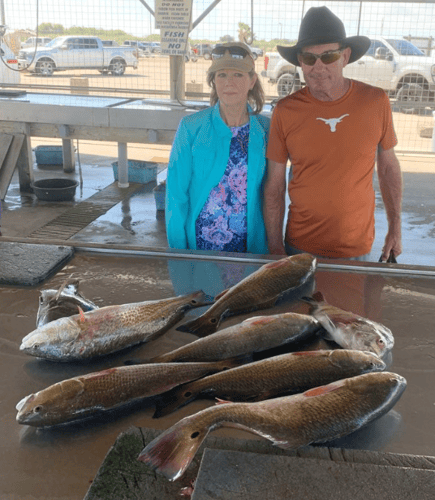 Matagorda Bay Catch And Release In Matagorda