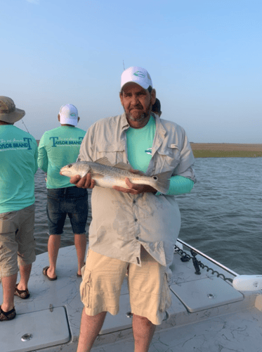 Matagorda Bay Catch And Release In Matagorda