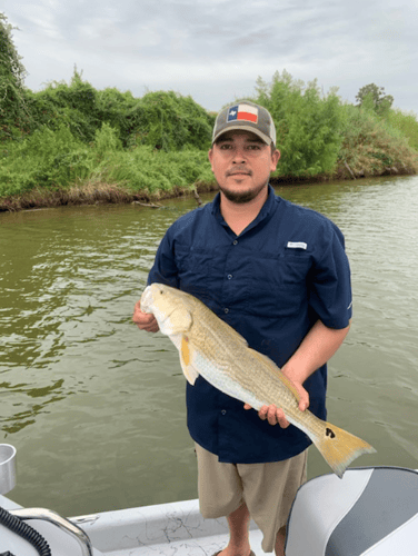 Matagorda Bay Catch And Release In Matagorda