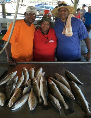 Matagorda Bay Catch And Release In Matagorda