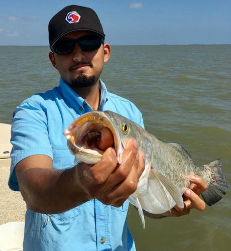 Matagorda Bay Catch And Release In Matagorda