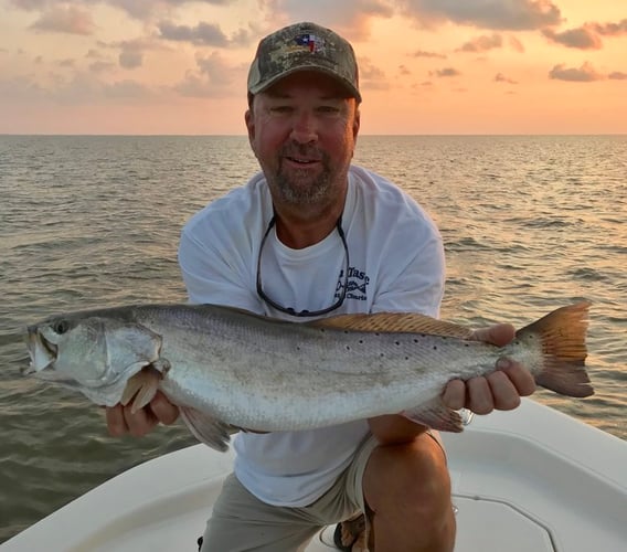 Matagorda Bay Catch And Release In Matagorda