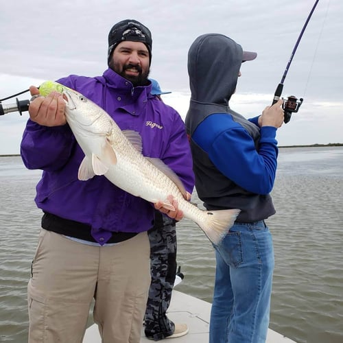 New Orleans Sight Fishing in Saint Bernard