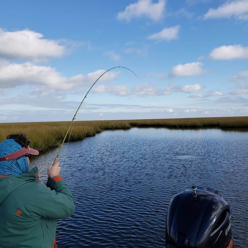 NOLA Marshland Fly Fishing In Saint Bernard