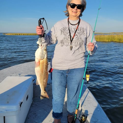New Orleans Sight Fishing in Saint Bernard
