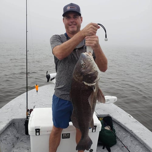 New Orleans Sight Fishing in Saint Bernard