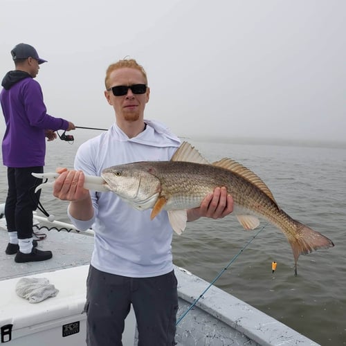 New Orleans Sight Fishing in Saint Bernard