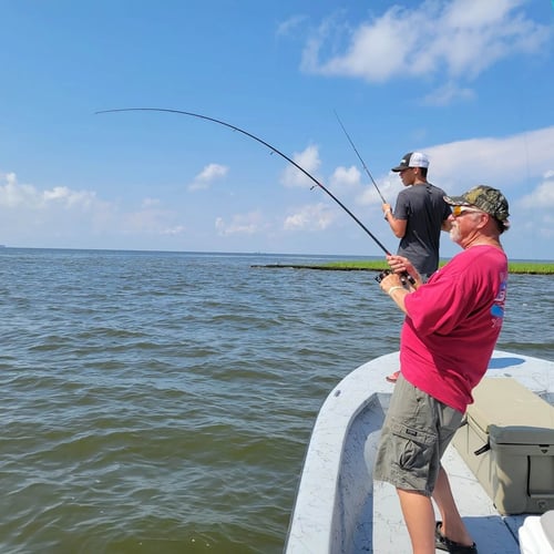New Orleans Sight Fishing in Saint Bernard