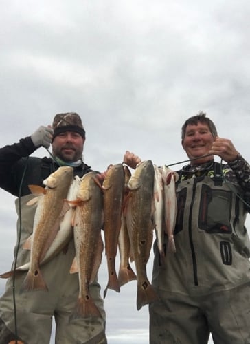 Matagorda Bay "Big Three" in Matagorda