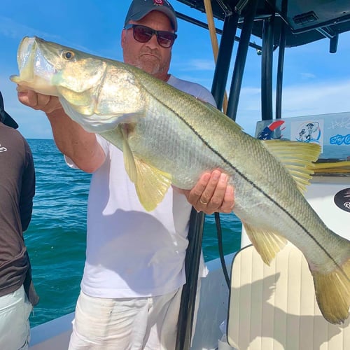 Chasing Monsters -  24' Pathfinder in Sarasota
