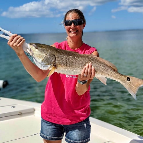 Chasing Monsters -  24' Pathfinder in Sarasota