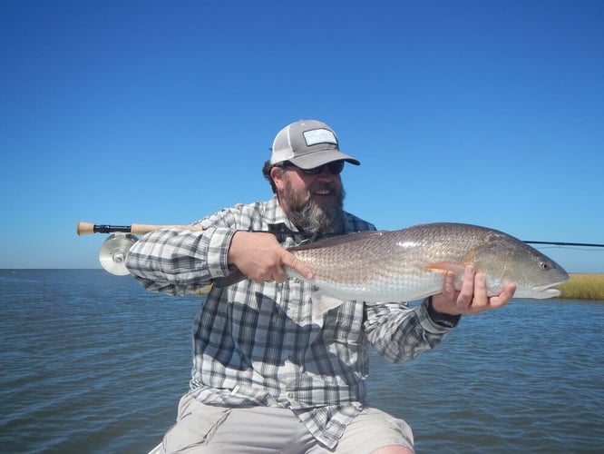 Full Day Redfish on the fly in Hopedale