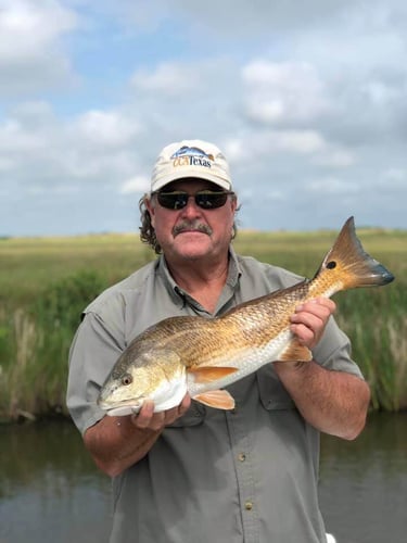 Hopedale Redfish On The Fly In Hopedale