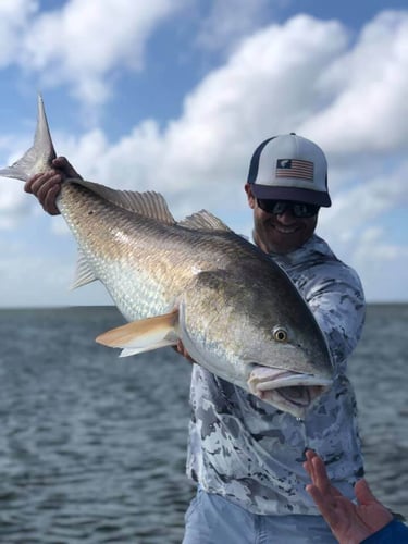 Hopedale Redfish On The Fly In Hopedale