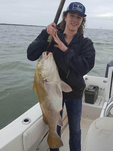 Galveston Jetty/Ship Channel 30ft Seahunt In Galveston