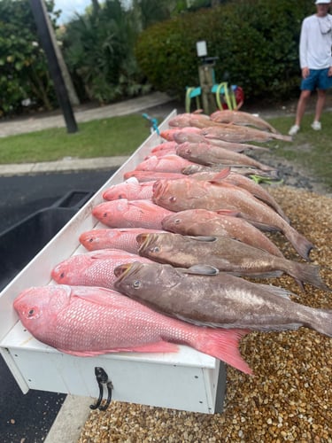 Extended Day Lunker Chase In Sarasota