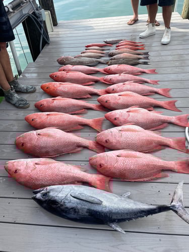 Sarasota Offshore Grocery Run in Sarasota
