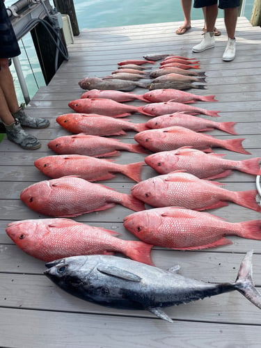 Sarasota Offshore Grocery Run In Sarasota