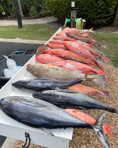 Extended Day Lunker Chase In Sarasota