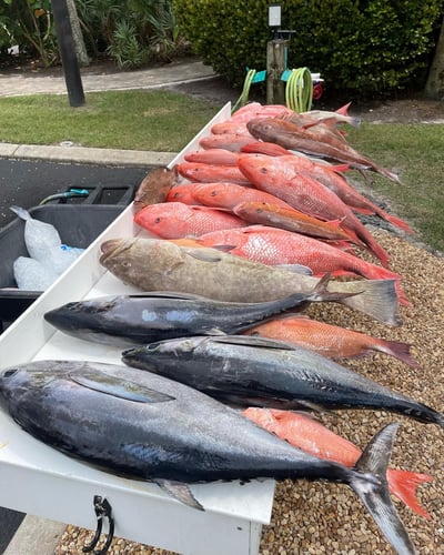 Sarasota Offshore Grocery Run In Sarasota