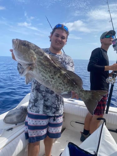 Sarasota Offshore Grocery Run In Sarasota