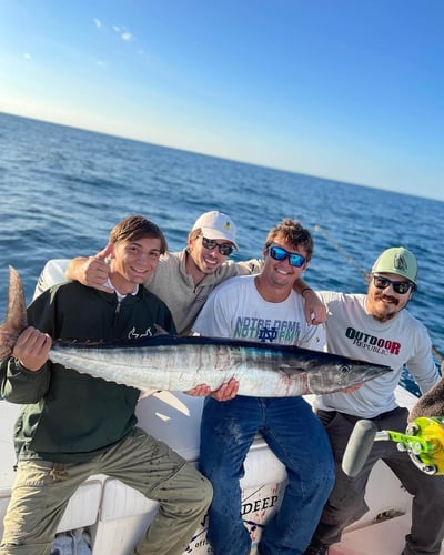 Extended Day Lunker Chase In Sarasota