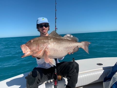 Sarasota Offshore Grocery Run In Sarasota