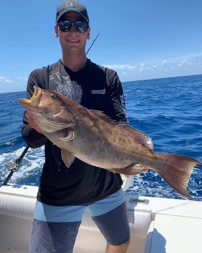 Extended Day Lunker Chase In Sarasota