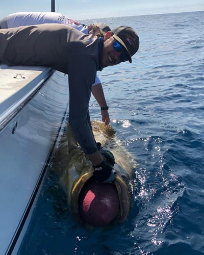 Extended Day Lunker Chase In Sarasota