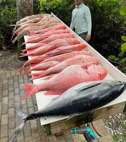 Extended Day Lunker Chase In Sarasota