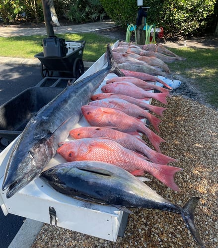 Sarasota Offshore Grocery Run in Sarasota