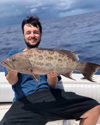 Sarasota Offshore Grocery Run in Sarasota