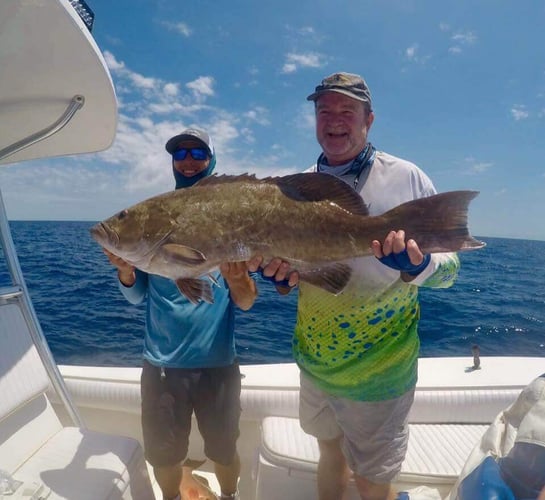 Extended Day Lunker Chase In Sarasota