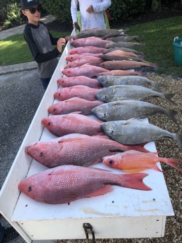 Sarasota Offshore Grocery Run in Sarasota