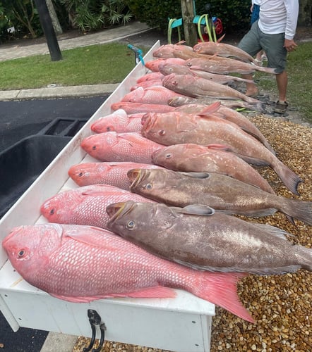 Sarasota Offshore Grocery Run In Sarasota