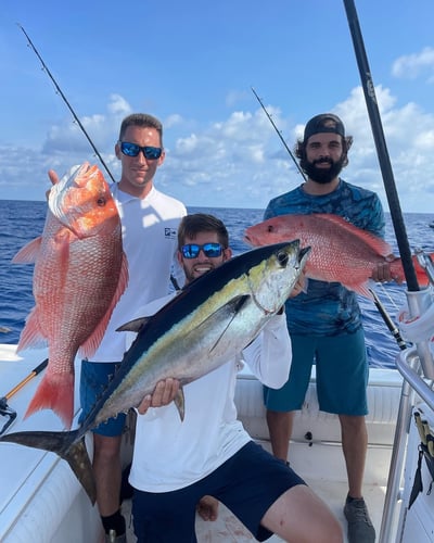 Sarasota Offshore Grocery Run in Sarasota