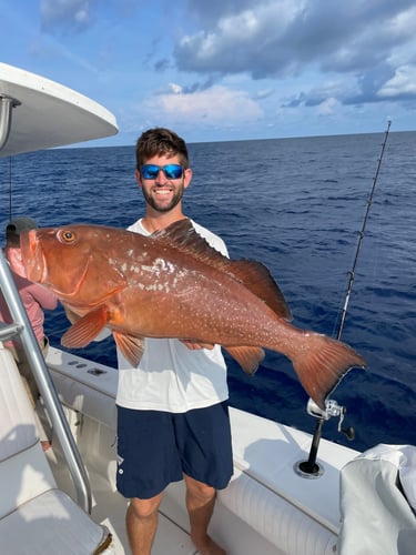 Extended Day Lunker Chase In Sarasota